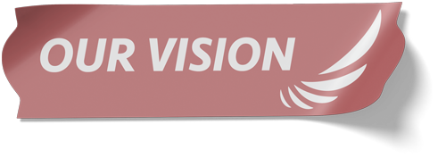 Our Vision