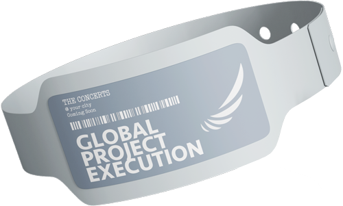 Global Project Execution